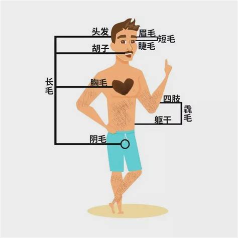 背后长毛|背上长了一根特别长的毛